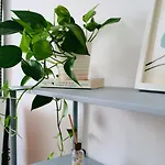 La Casa Di Giu Апартаменты