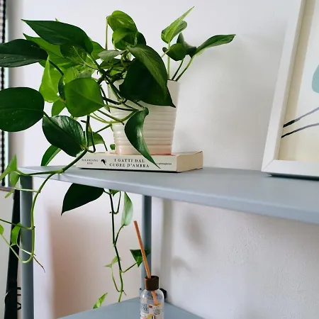 La Casa Di Giu Appartement
