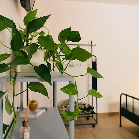 Appartement La Casa Di Giu